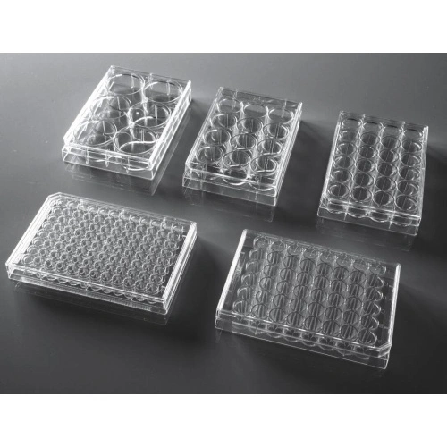 NEST Cell Culture Plate 6 384 wells China Manufacturers Suppliers